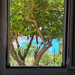 Sofias House At Agkona Kefalonia Σπίτι διακοπών