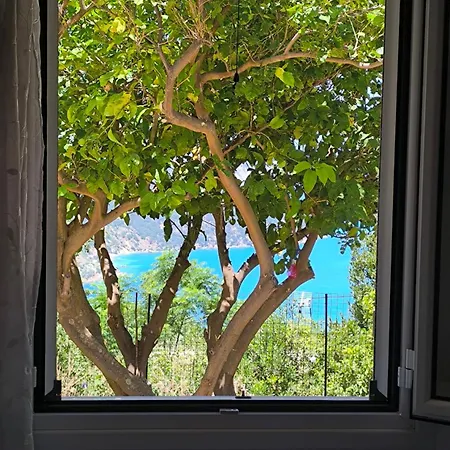 Sofias House At Agkona Kefalonia Nyaraló