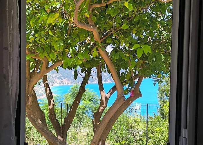 Sofias House At Agkona Kefalonia Hébergement de vacances